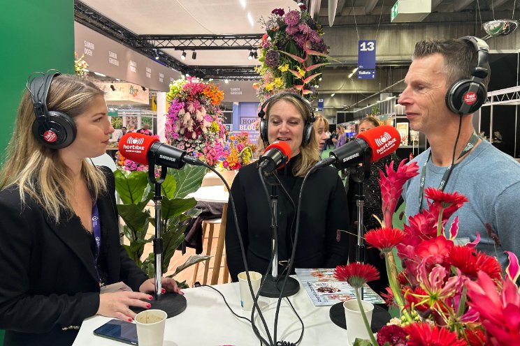 Gesprek op de Trade Fair... Magie van amaryllis