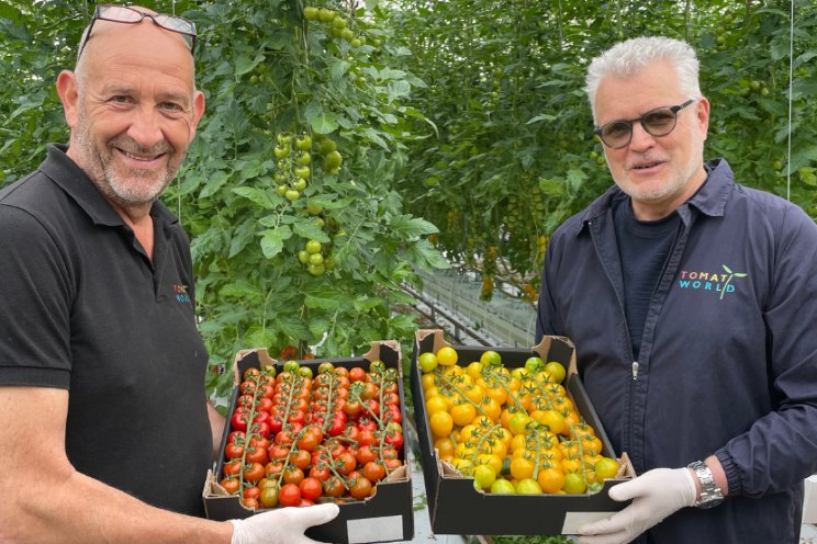 Van Geest nieuwe afnemer en partner Tomatoworld