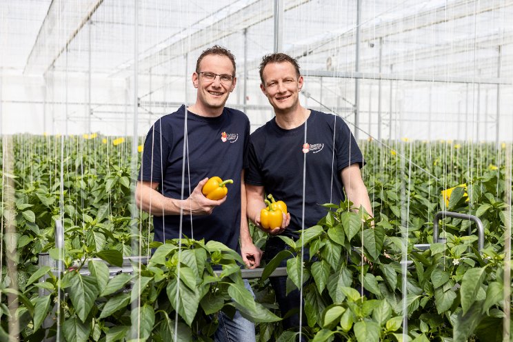 Jansen Paprika koopt naastgelegen paprikakas