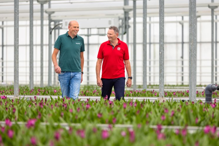 Van tomatenkas naar duurzame plantenkwekerij