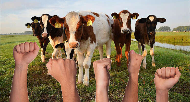 HortiContact steunt landelijke actiedag boeren