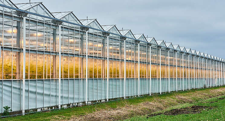 'Maak glastuinbouw klimaatkampioen'