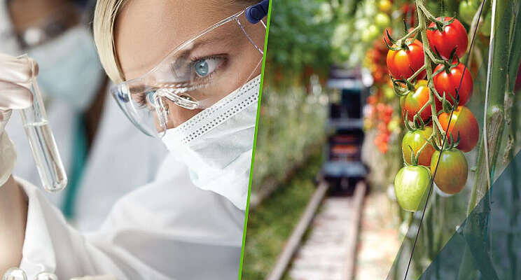 In 2021 11,1% meer omzet voor Bayer Crop Science