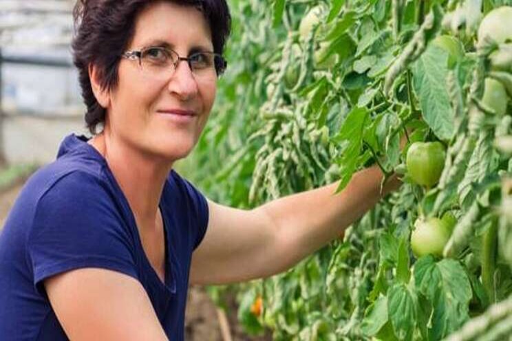 Agrovertrouwen daalt, maar tuinbouw bovengemiddeld