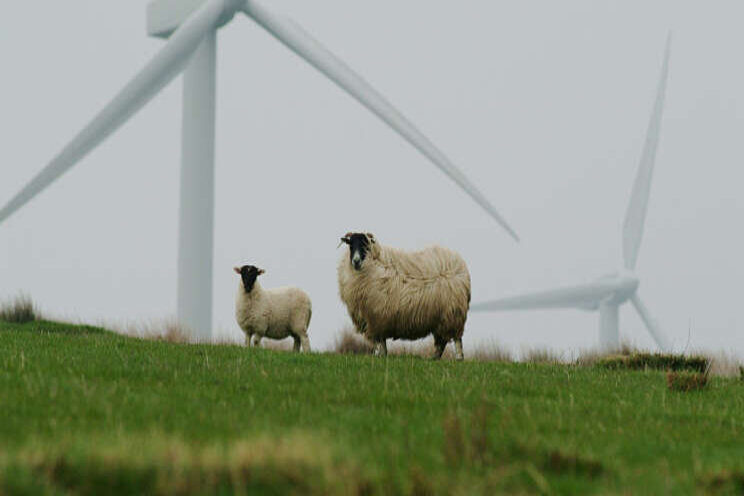 Boeren en telers in het noorden willen windmolens