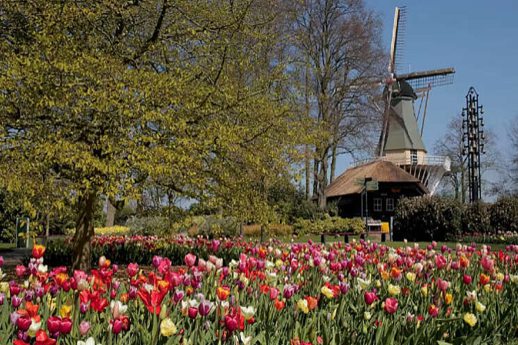 Video: Keukenhof komt naar je toe!